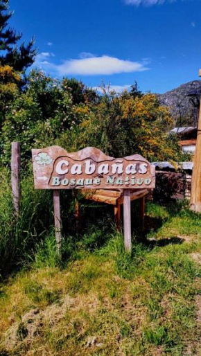 Bosque Nativo